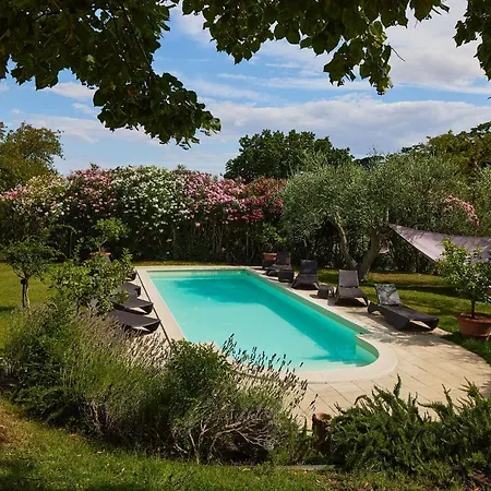 Monacelli ファーノ