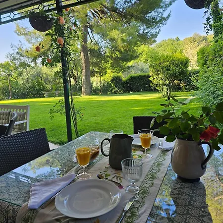 Monacelli * ファーノ