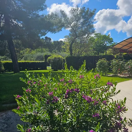 Monacelli Bed and Breakfast *