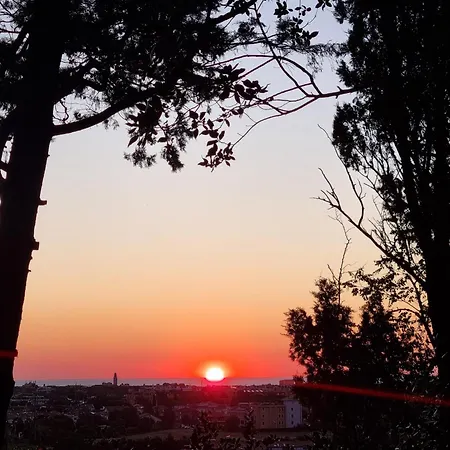 Monacelli Bed and Breakfast Fano