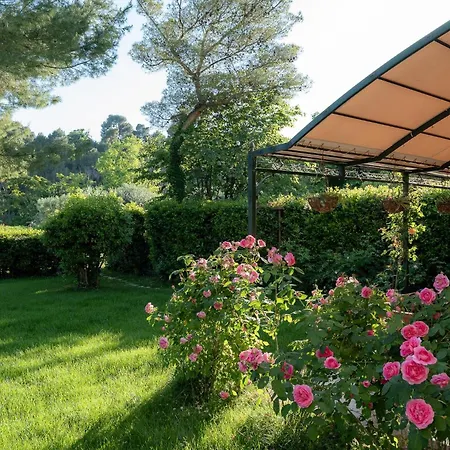 Bed and Breakfast Monacelli Fano