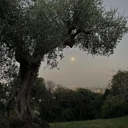 Bed and Breakfast Monacelli Fano