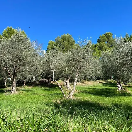 Monacelli Bed and Breakfast