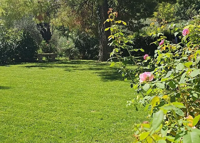 Bed & Breakfast Monacelli