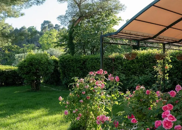 לינה וארוחת בוקר Monacelli פאנו