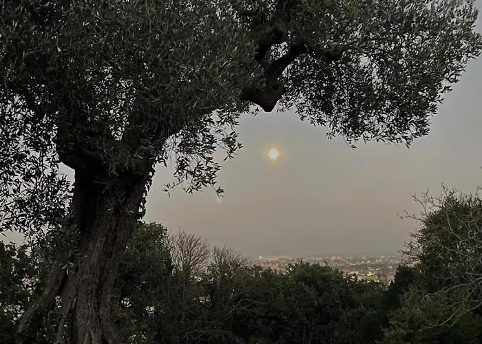 לינה וארוחת בוקר Monacelli פאנו