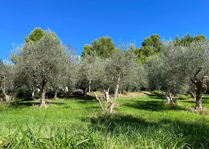 Monacelli לינה וארוחת בוקר