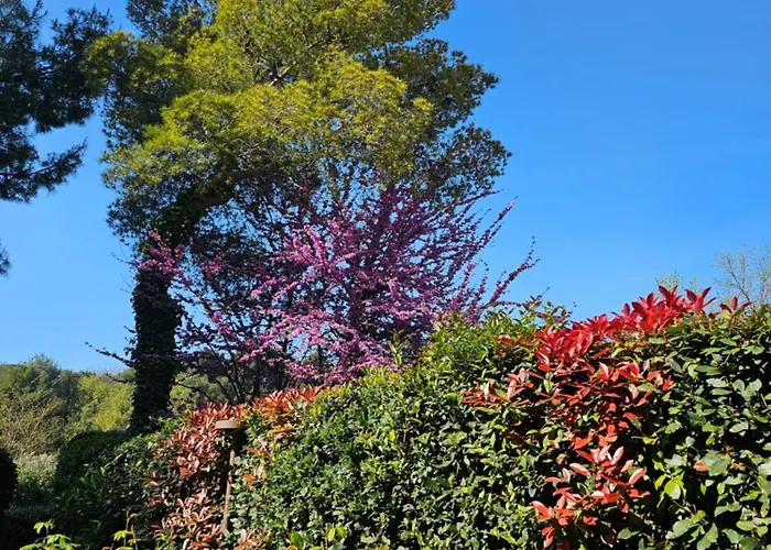 לינה וארוחת בוקר Monacelli